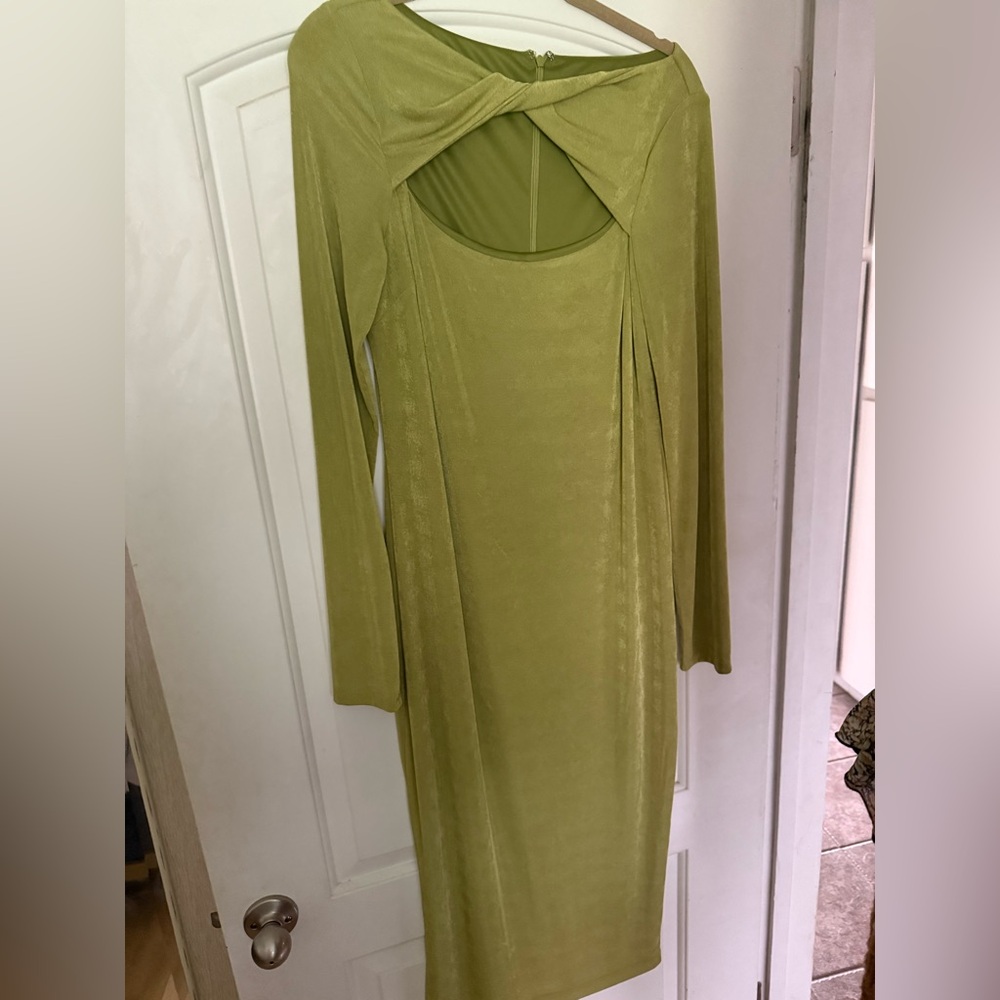 Alexia Admor Light green Long Sleeve Dress